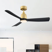 Kute 44" Brushed Satin Brass & Black Modern Ceiling Fan with Remote - Bees Lighting