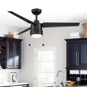 PC/DC L 52" Outdoor Black LED Ceiling Fan with Pull Chain - Bees Lighting
