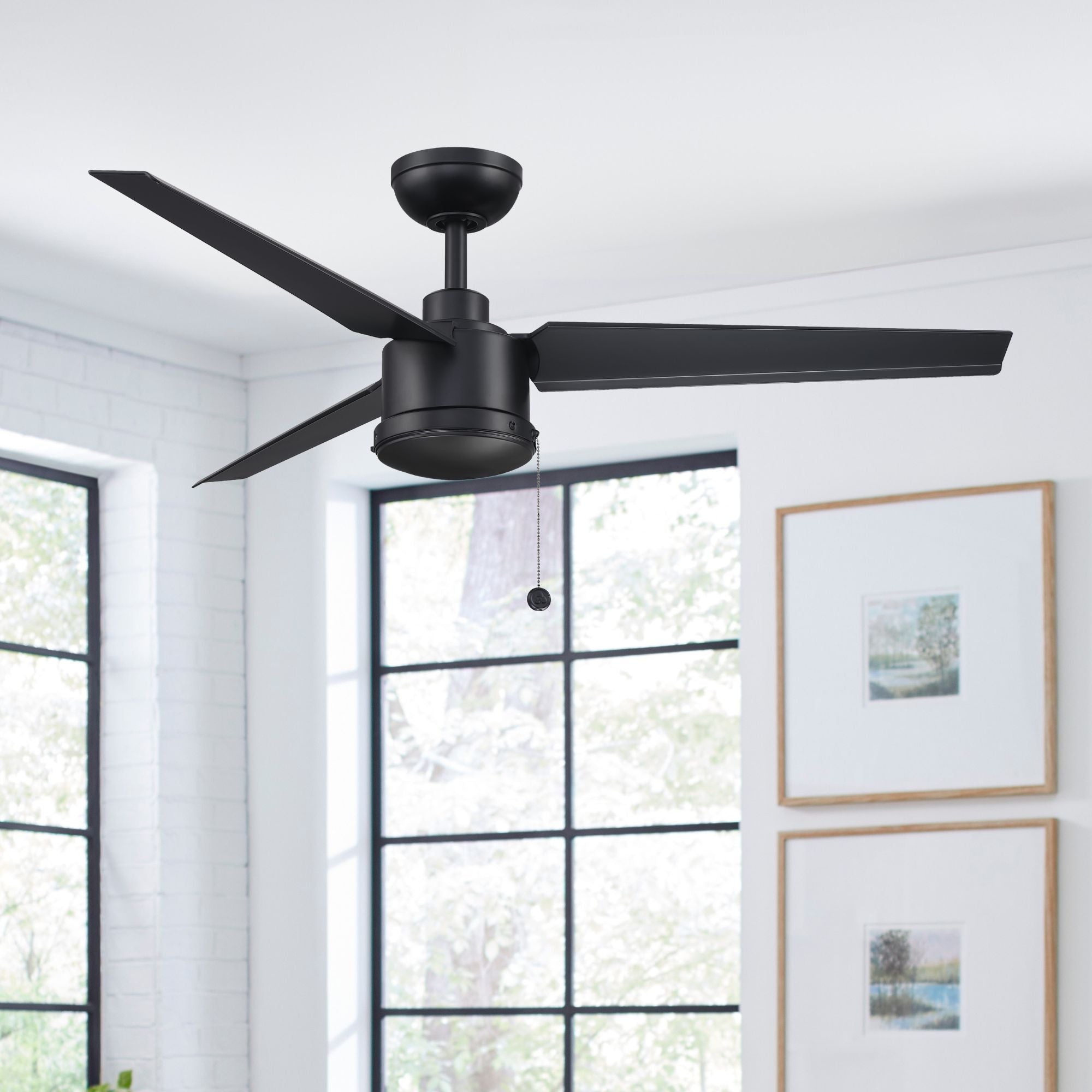 PC/DC NL 52" Outdoor Black Ceiling Fan with Pull Chain