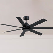 Pendry 56" Ceiling Fan