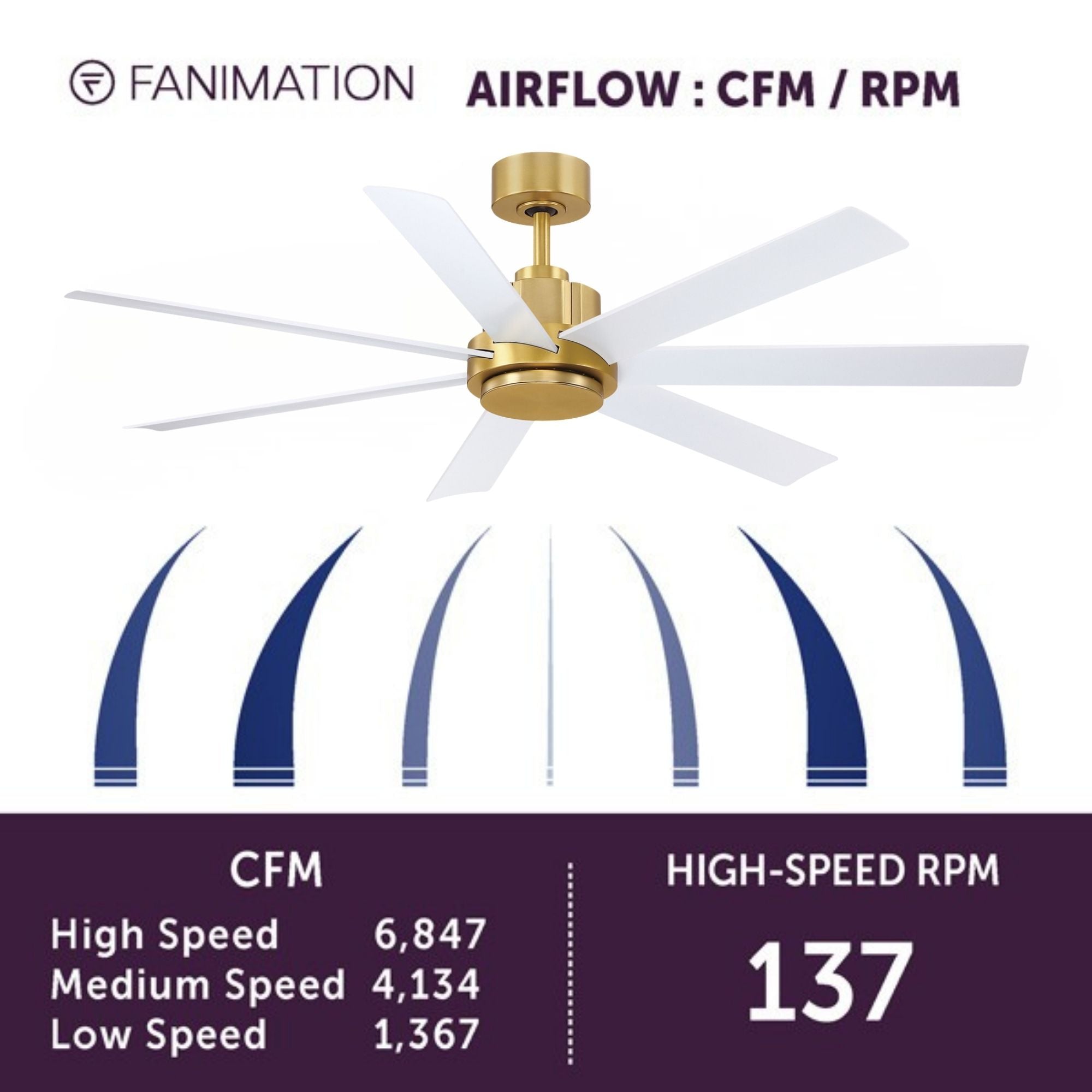 Pendry 56" Brushed Satin Brass and White Damp Rated Ceiling Fan with Remote