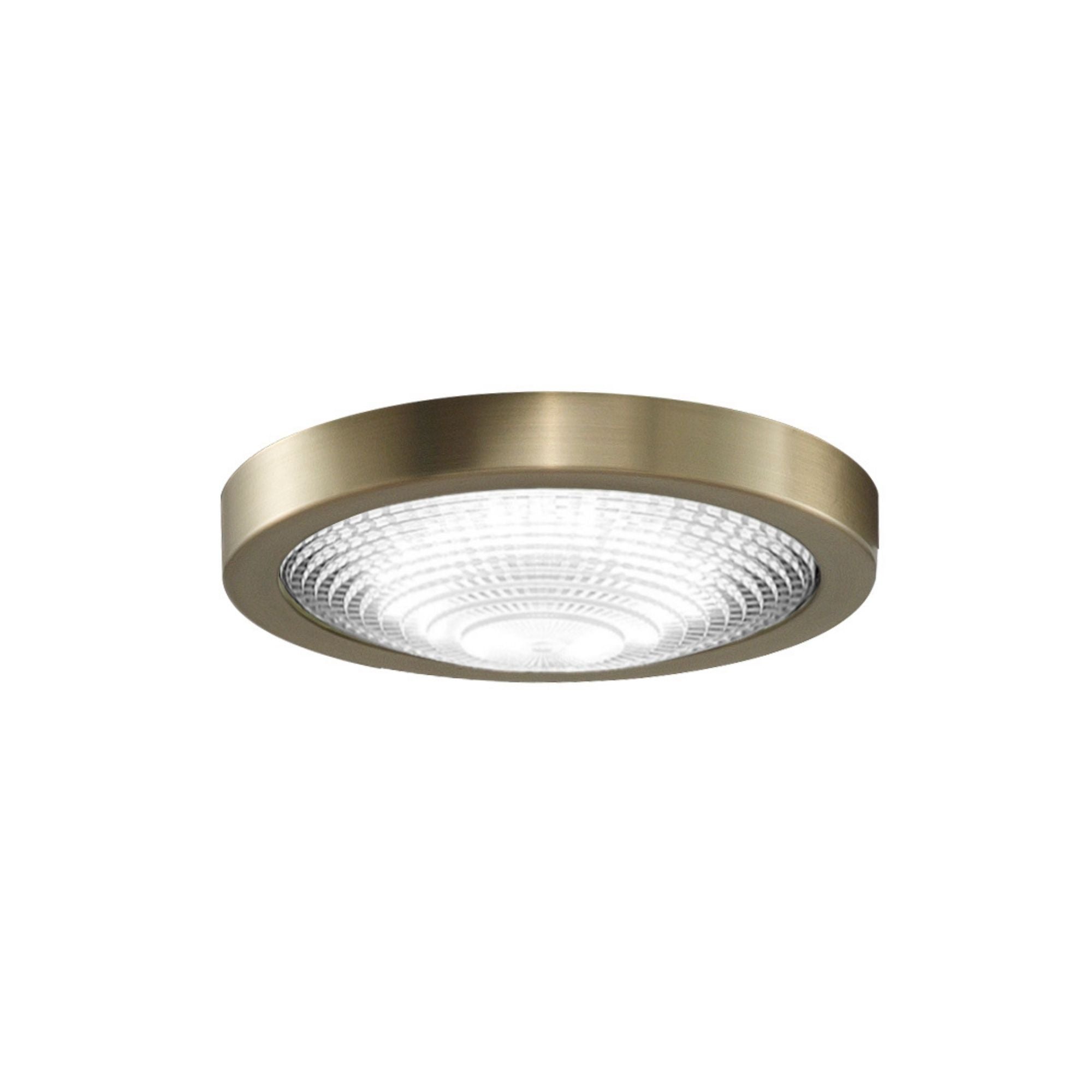 Fanimation Spitfire Ceiling Fan LED Light Kit