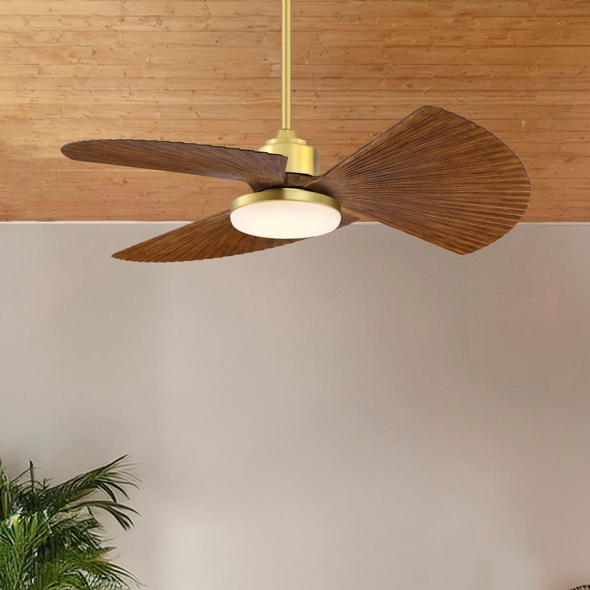 TriAire Custom Brushed Satin Brass 52" Motor, Blades Sold Separately