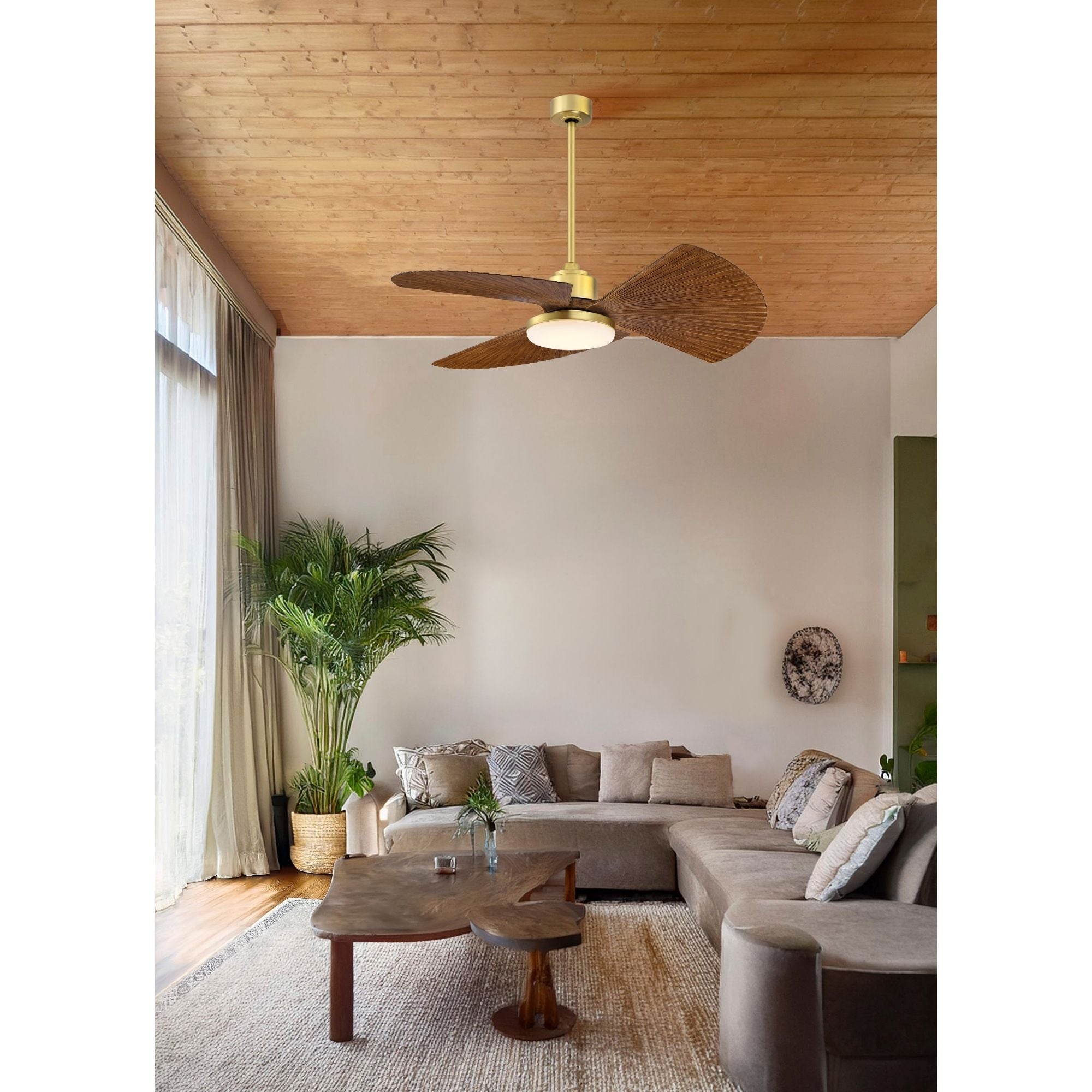 TriAire Custom Brushed Satin Brass 52" Motor, Blades Sold Separately