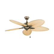 Windpointe 52" Antique Brass and Natural Narrow Oval Blades Ceiling Fan with Pull Chain