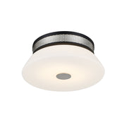 Tauten 12" LED Flush Mount, Coal & Brushed Nickel Finish