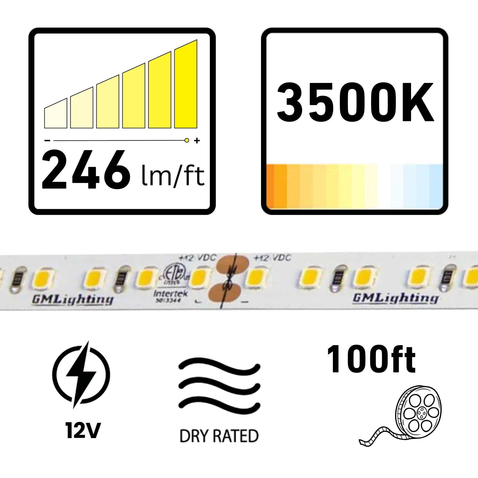 GM Lighting LTR-P PRO 98'-6' LED Tape Light, 3500K, 246 Lumens/ft, 12V