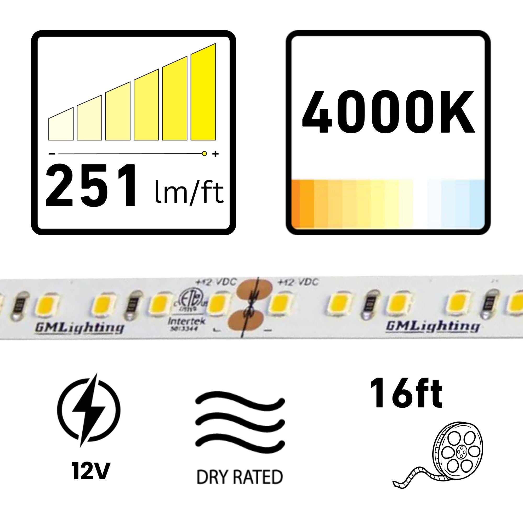 GM Lighting LTR-P PRO 16'-4" LED Tape Light, 4000K, 251 Lumens/ft, 12V