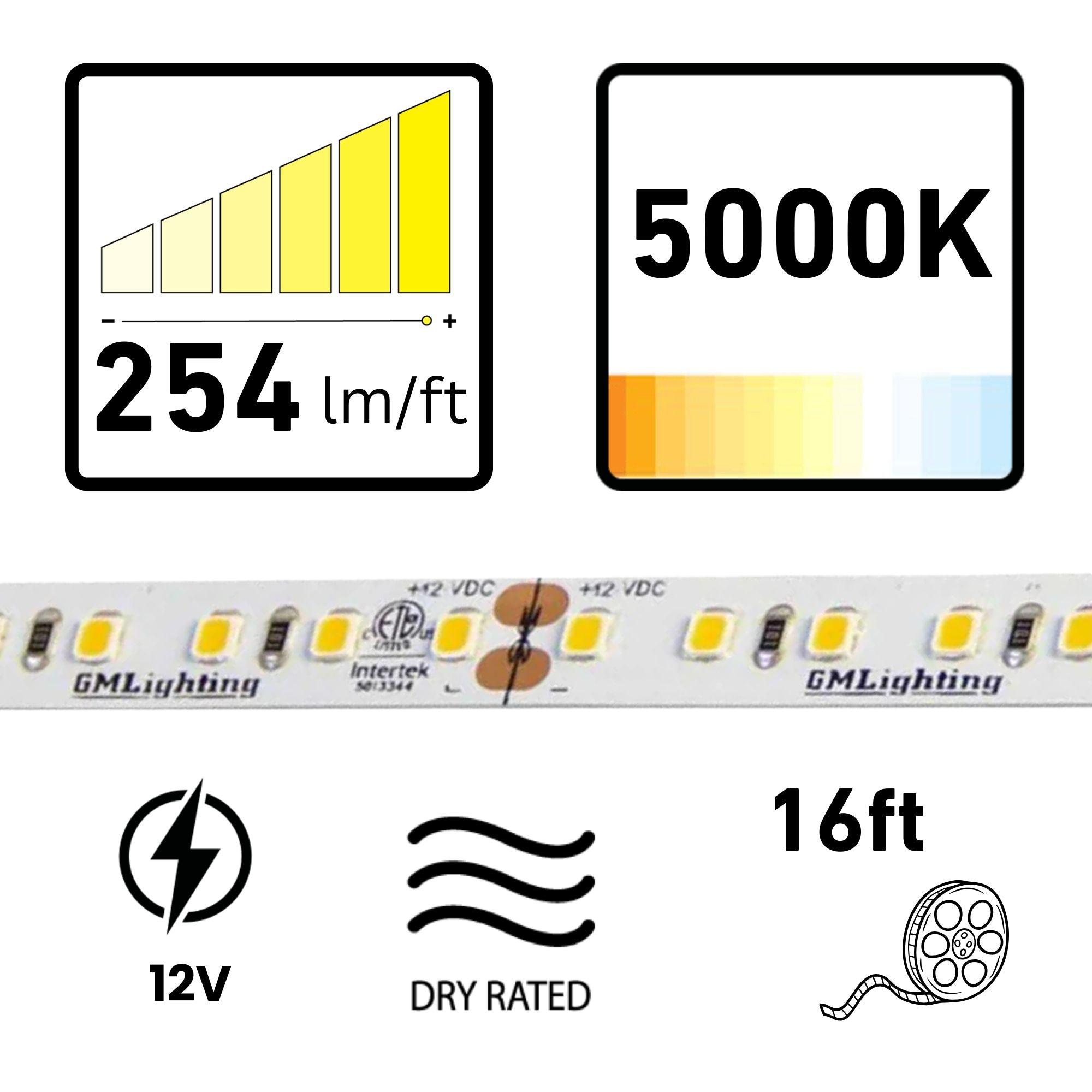 GM Lighting LTR-P PRO, 16'-4' LED Tape Light, 5000K, 254 Lumens/ft, 12V