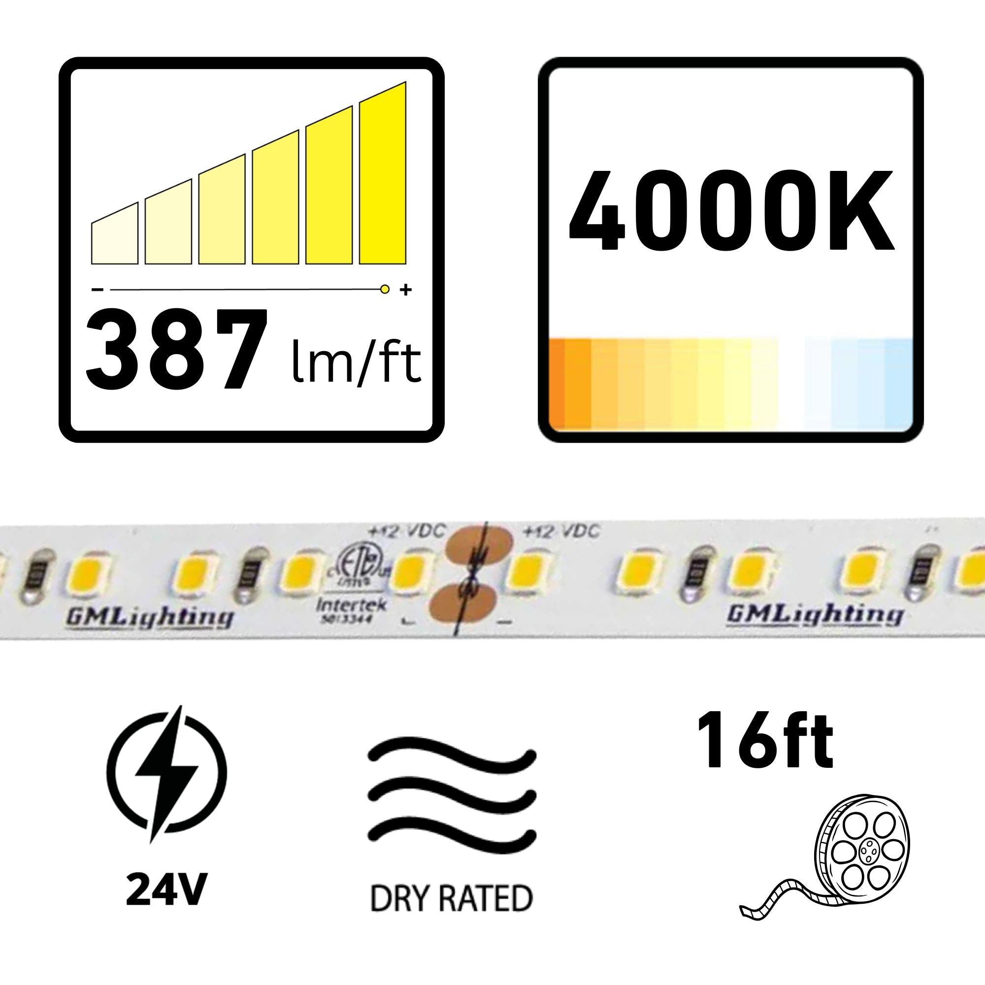 GM Lighting LTR-P PRO 16'-4" LED Tape Light, 4000K, 387 Lumens/ft, 24V