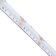 GM Lighting LTR S COB 16' LED Tape Light, RGB, Tunable White, 90+ CRI, 24V