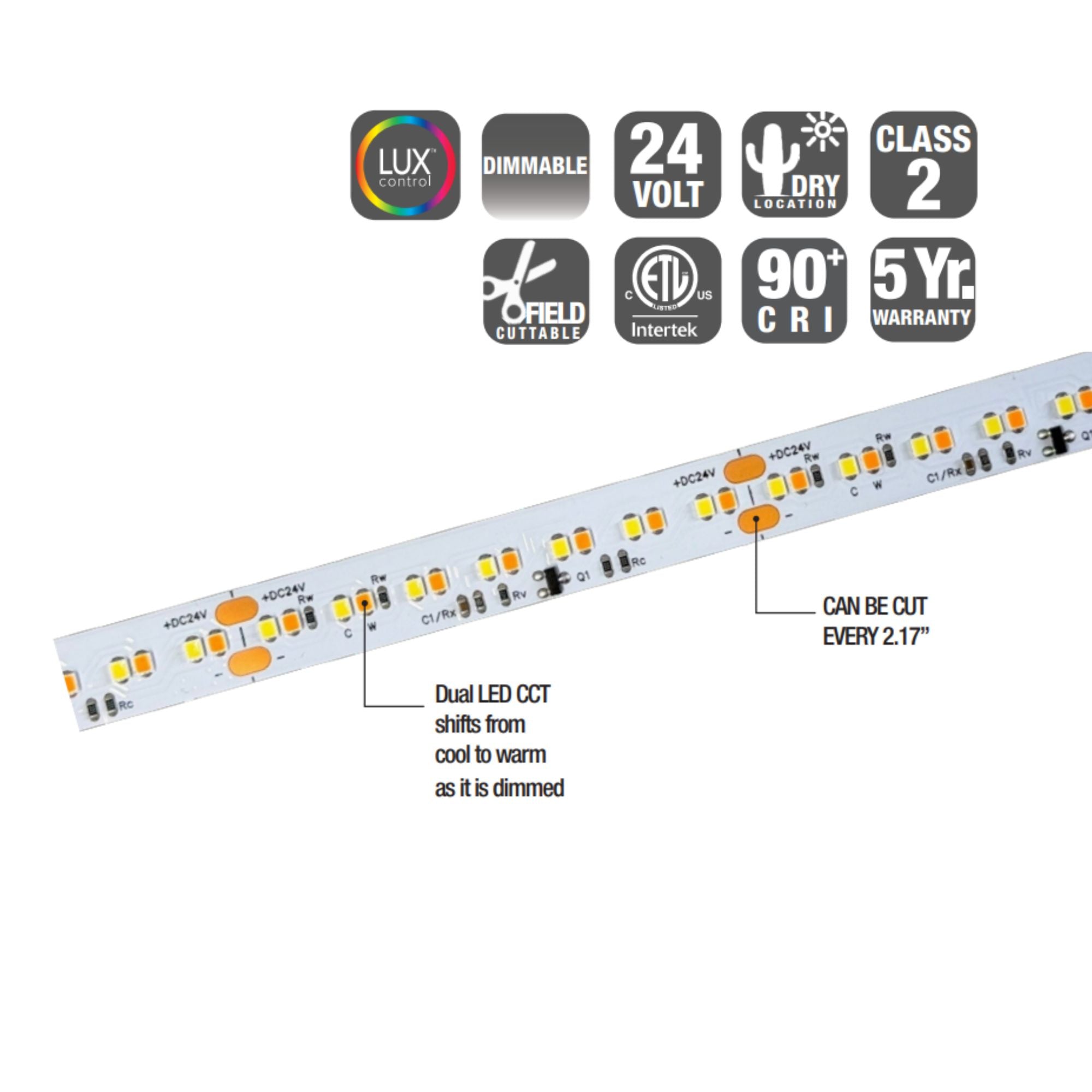GM Lighting LTR-S SPEC 16' Tape Light, Warm Dim, 310 Lumens/ft, 24V