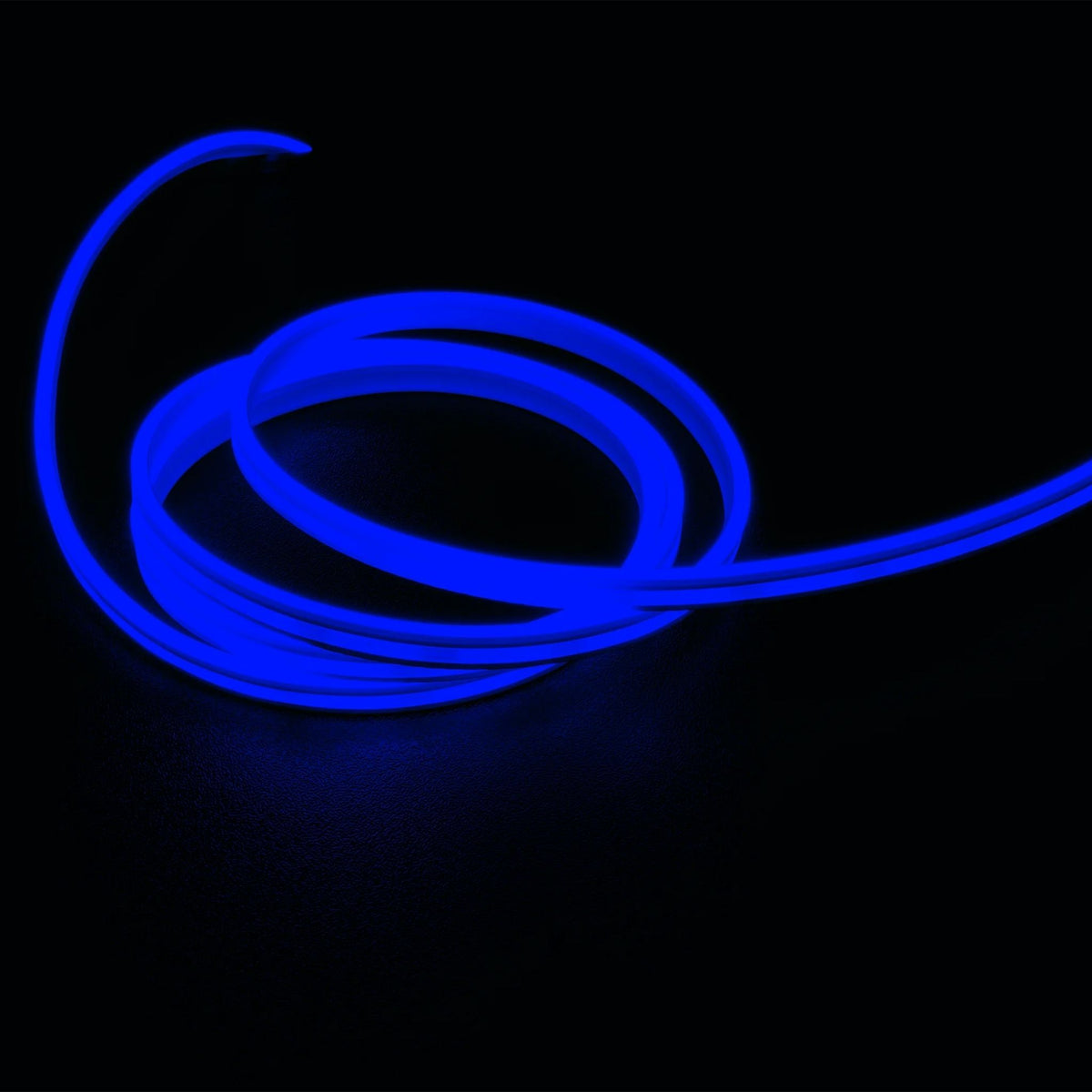 NeoVision Mini, 16 ft 4 in., Neon Tape Light, IP65, Blue, 13 Lumens per Foot, 24V