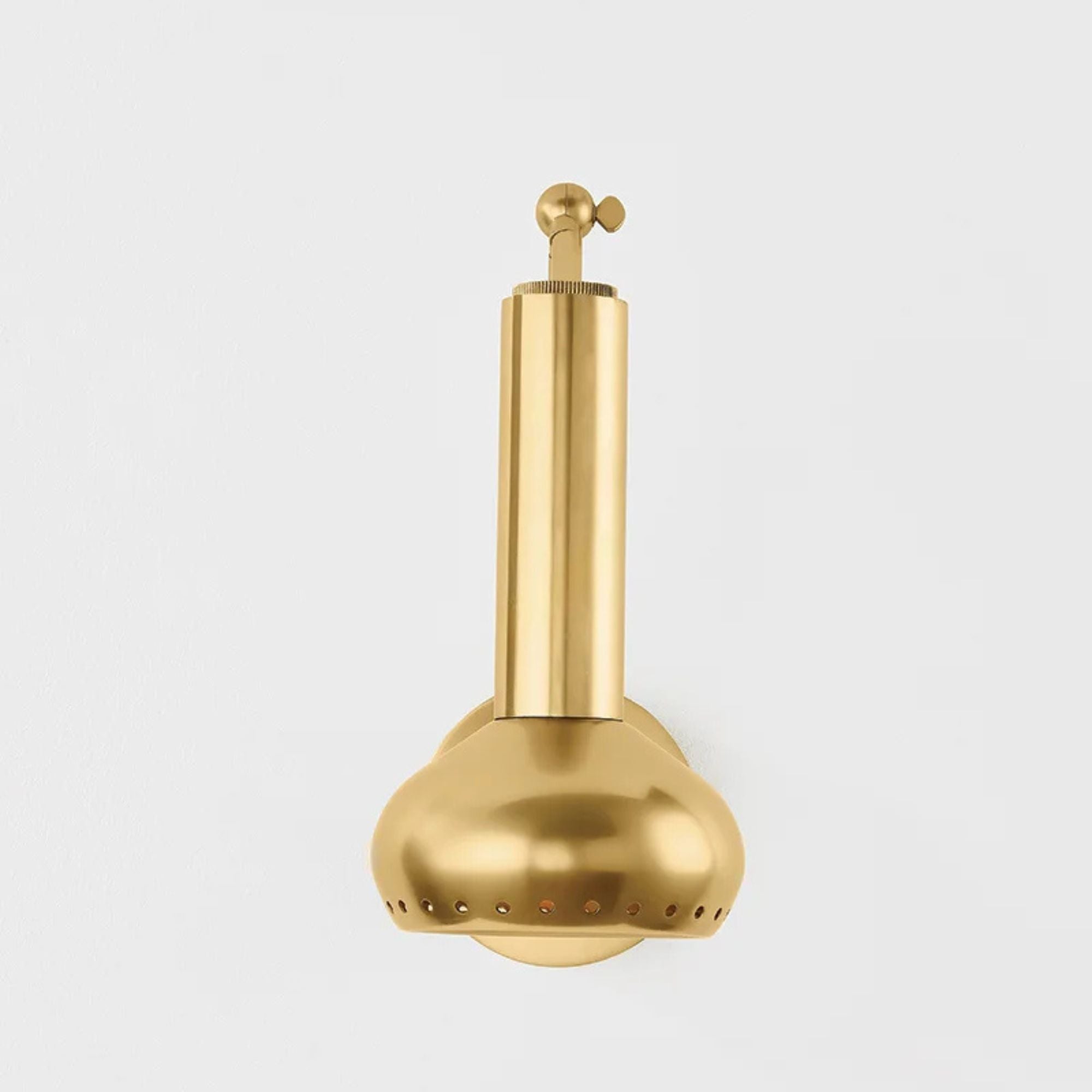 Roald 13" LED Swing Arm Wall Sconce, Aged Brass Finish
