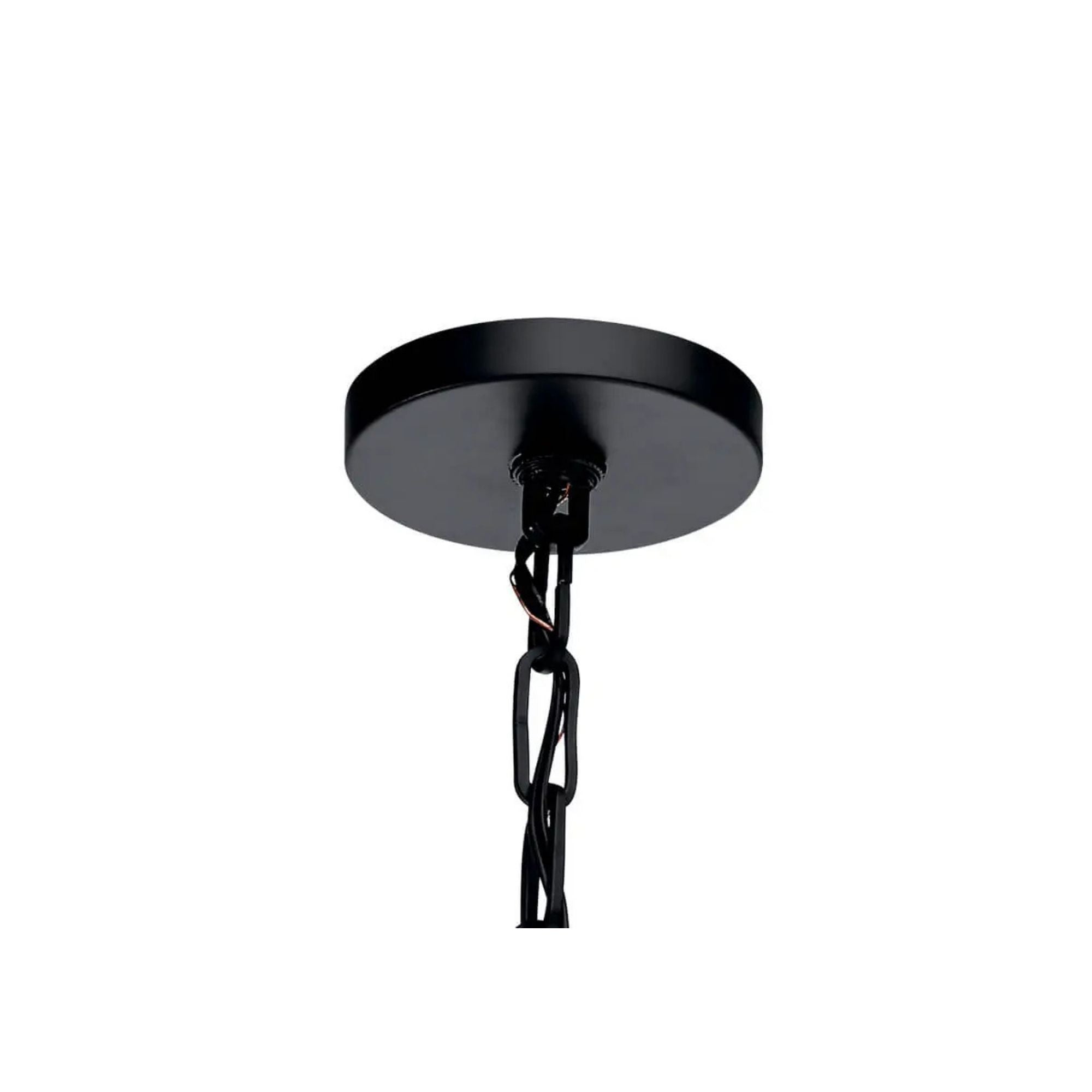 Abbotswell 10" Pendant, Black Finish - Bees Lighting