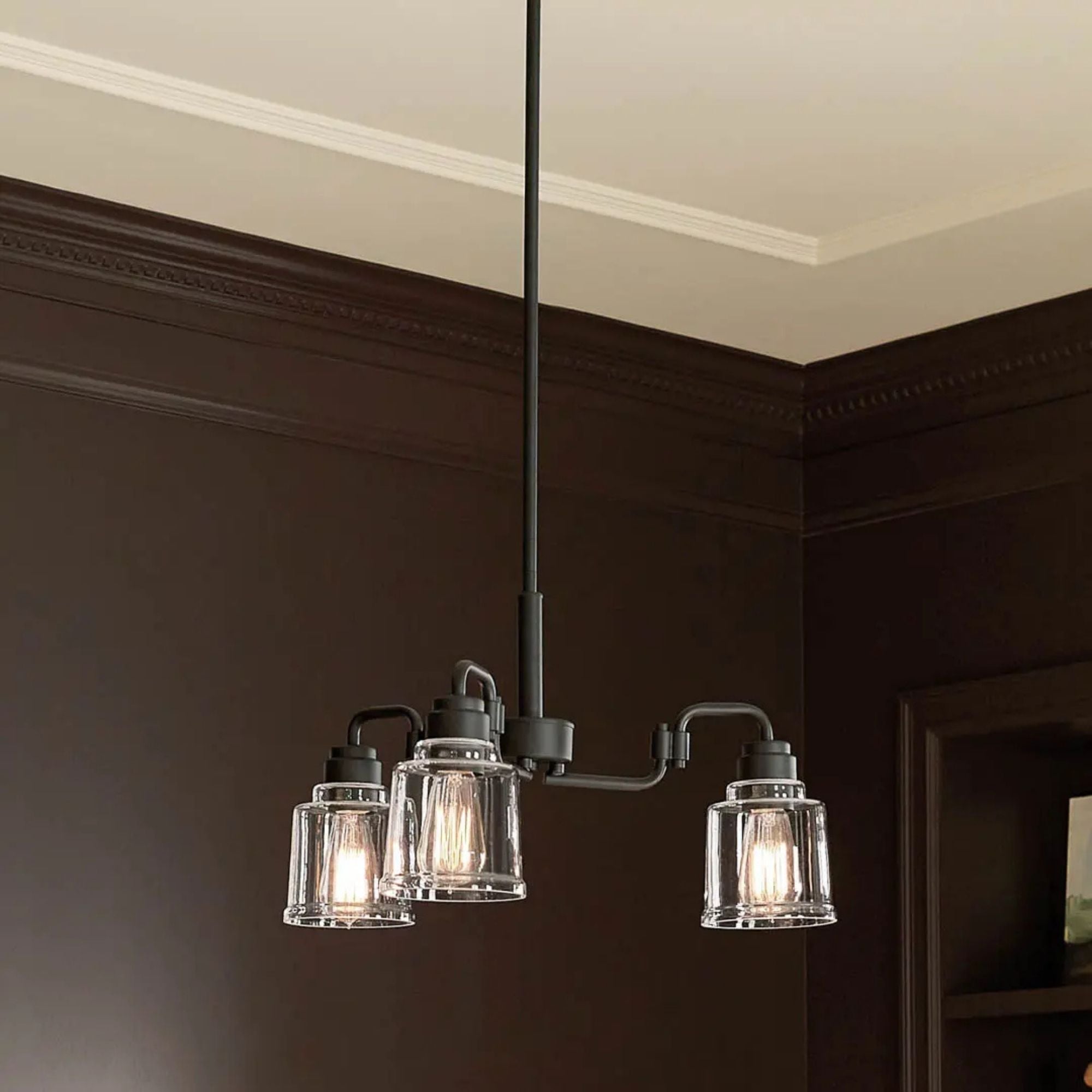 Aivian 23" 3-Light Chandelier, Black Finish