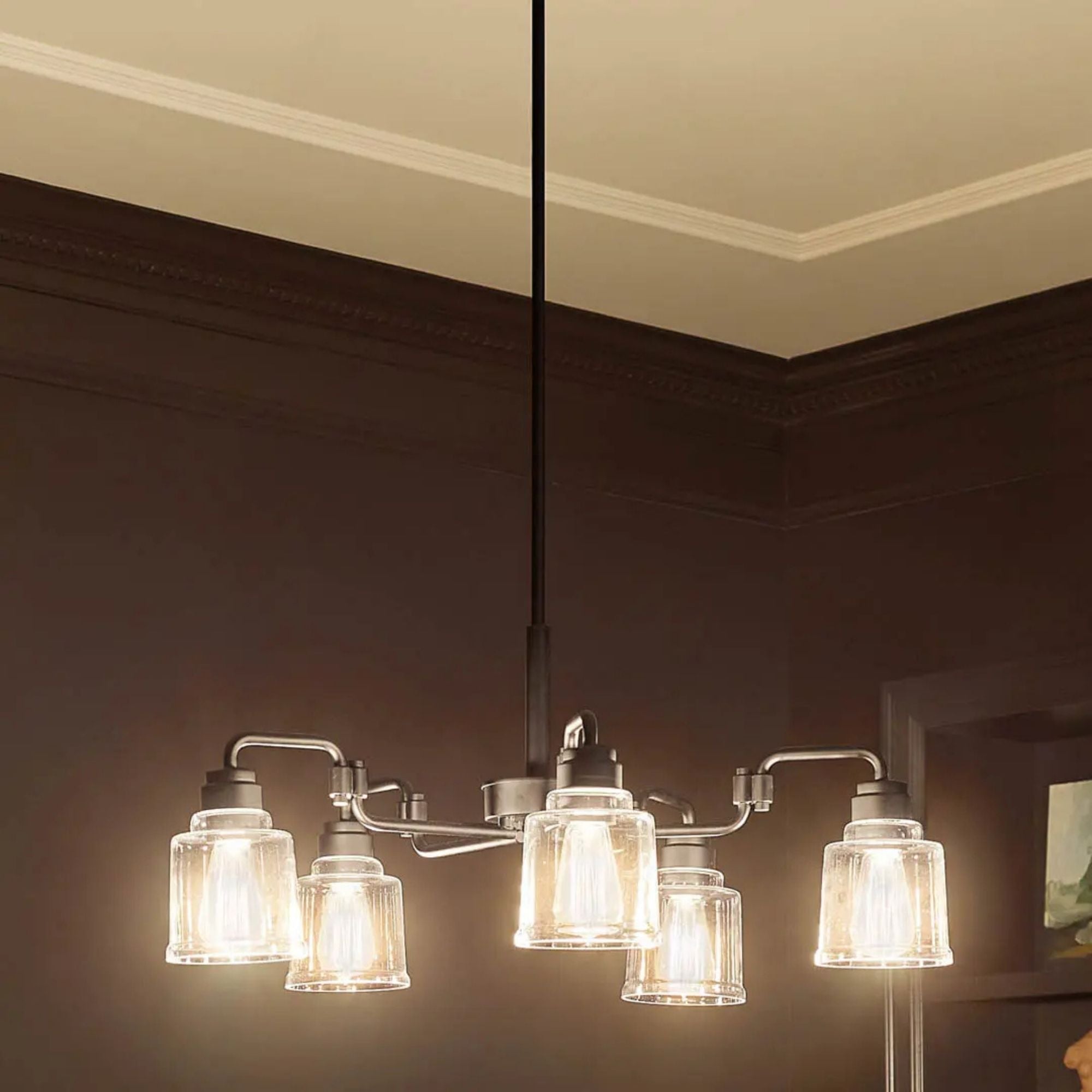 Aivian 30" 5-Light Chandelier, Black Finish - Bees Lighting