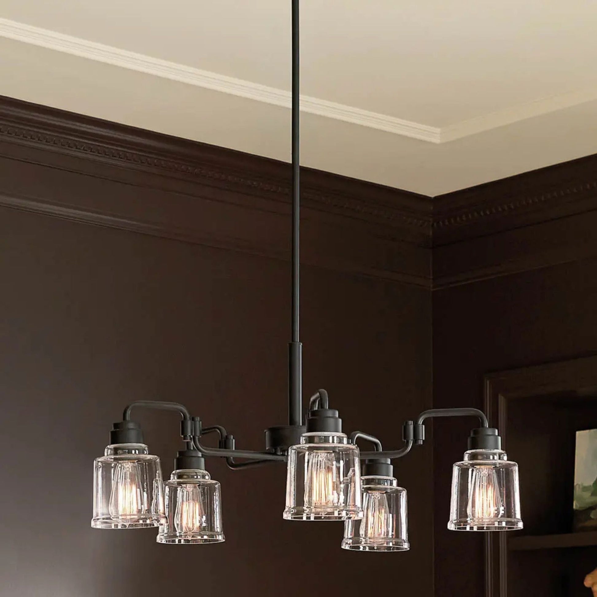 Aivian 30" 5-Light Chandelier, Black Finish - Bees Lighting