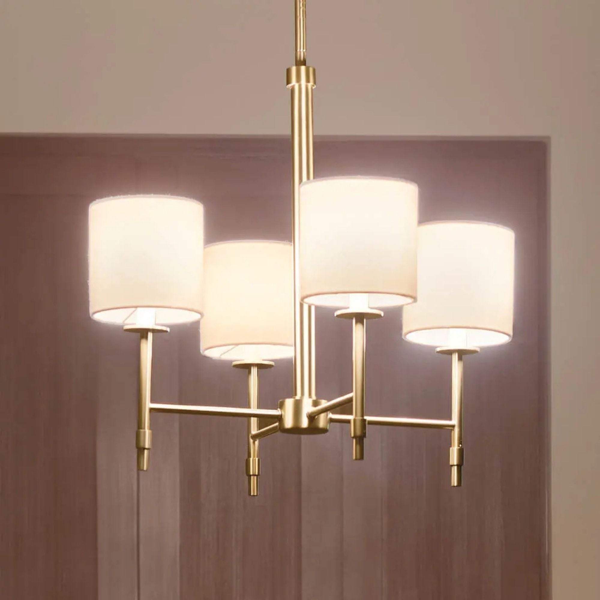 Ali 20" 4-Light Chandelier, Brushed Natural Brass Finish