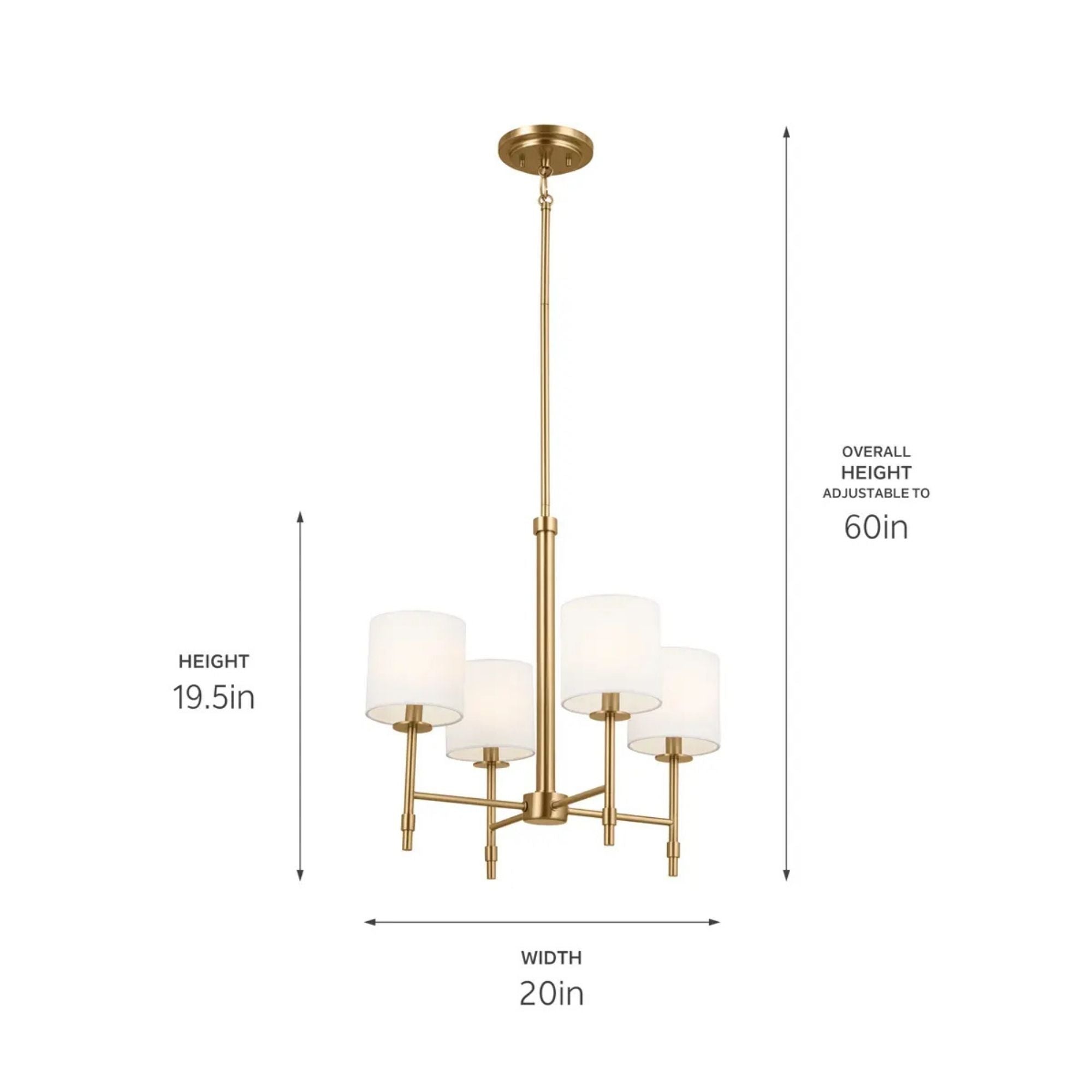 Ali 20" 4-Light Chandelier, Brushed Natural Brass Finish