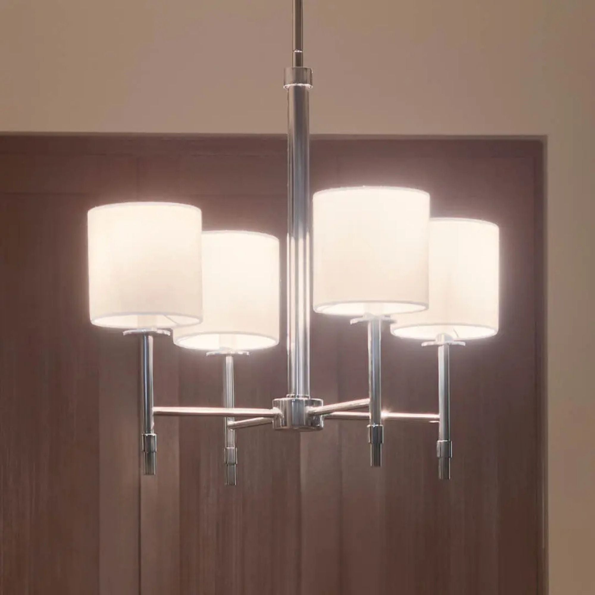 Ali 20" 4-Light Chandelier, Polished Nickel Finish