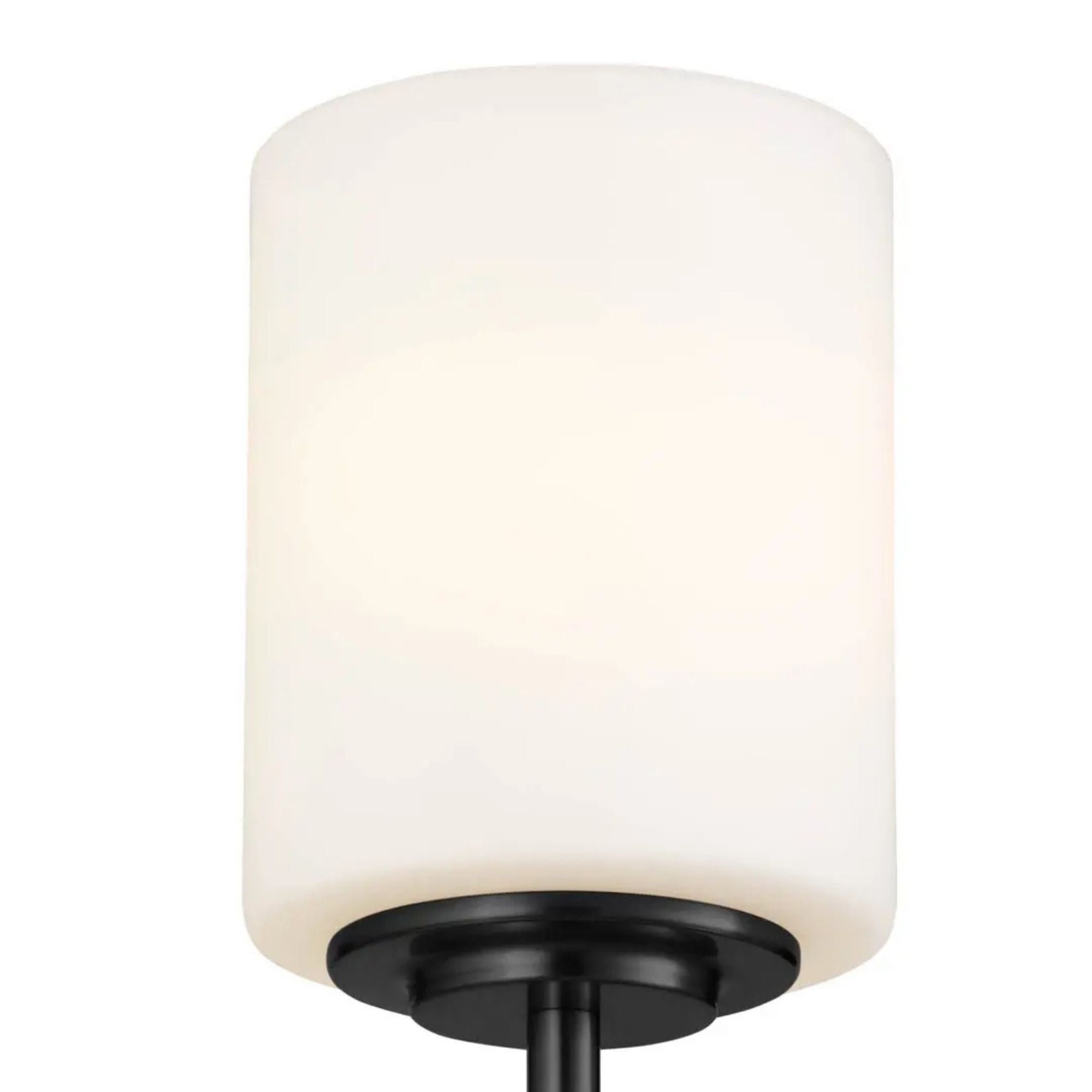 Ali 5" Wall Sconce, Black Finish, Glass Shade - Bees Lighting