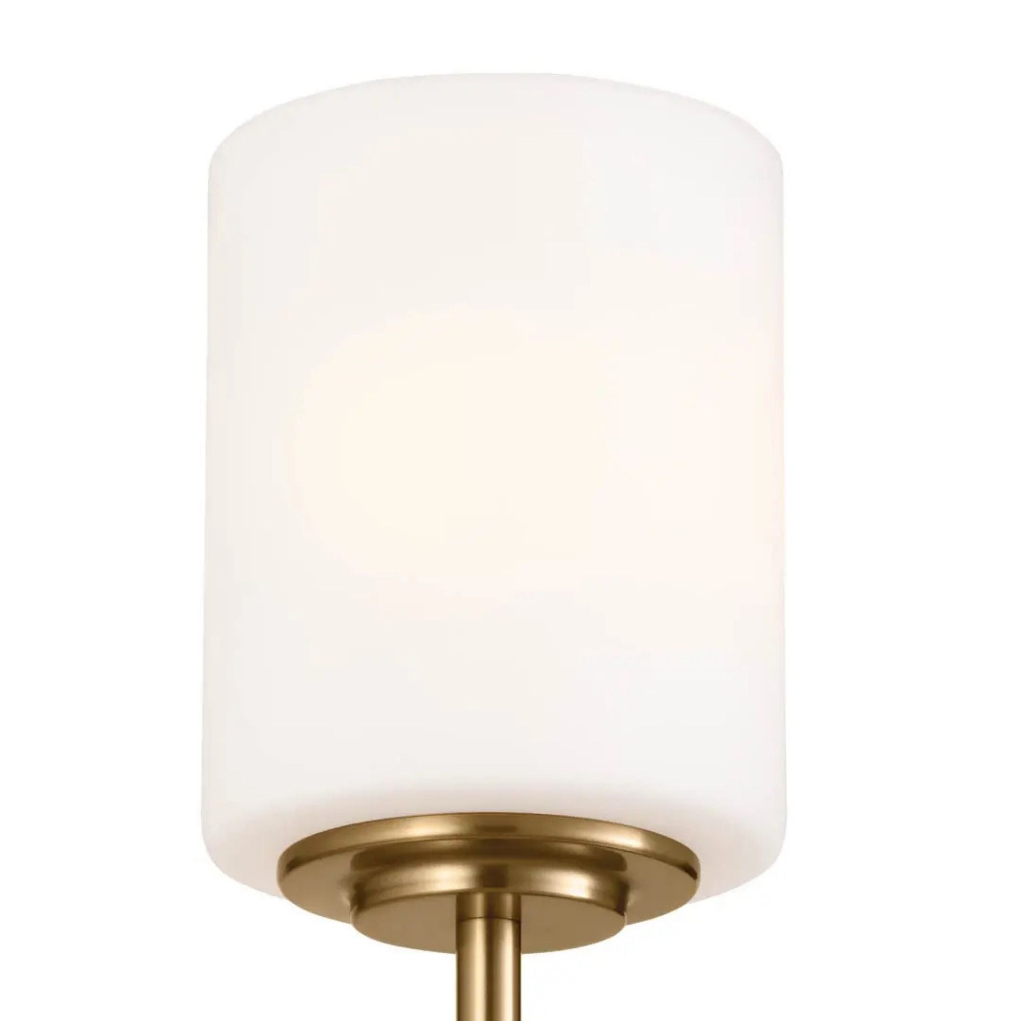 Ali 5" Wall Sconce, Brushed Natural Brass Finish, Glass Shade - Bees Lighting