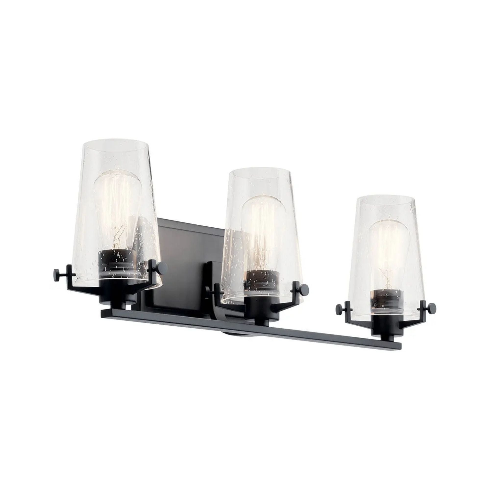 Alton 24" 3-Light Bath Vanity Light, Black Finish