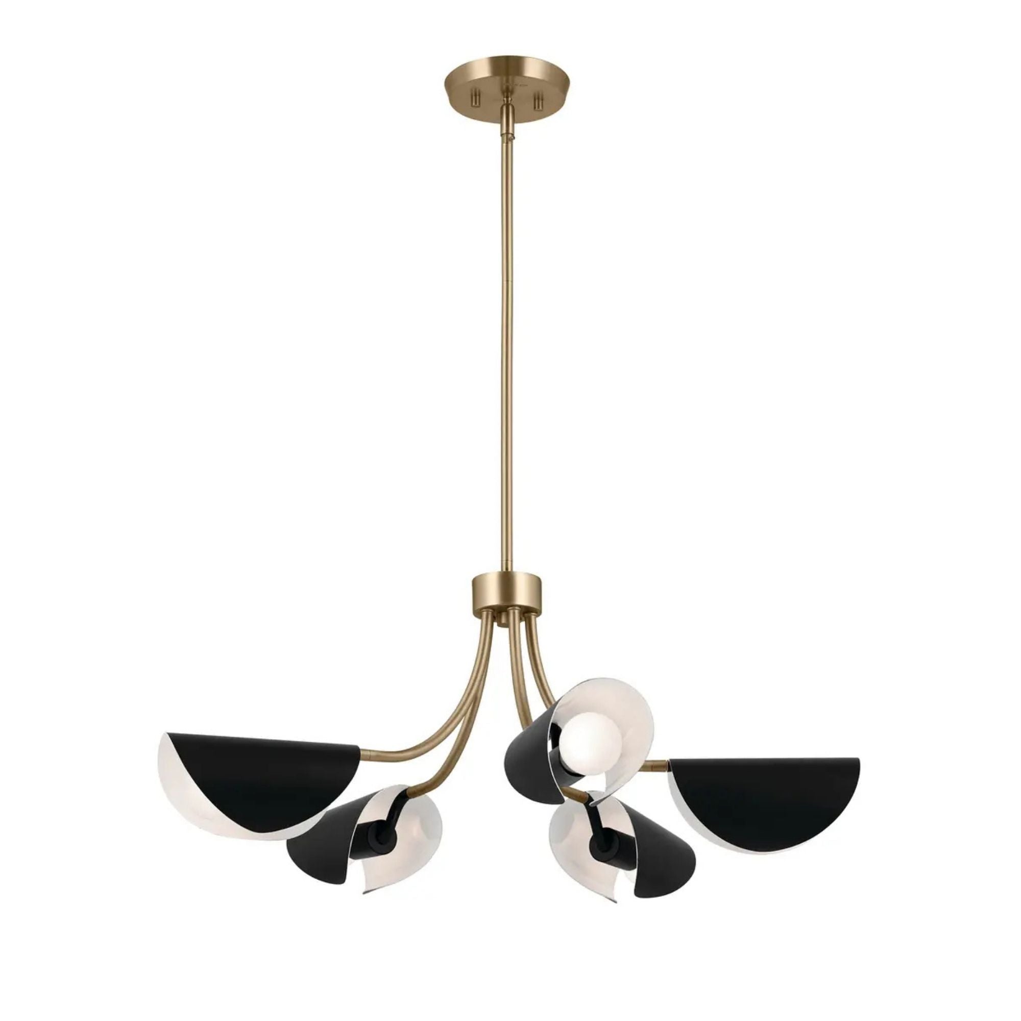 Arcus 29" 5-Light Chandelier, Champagne Bronze & Black Finish