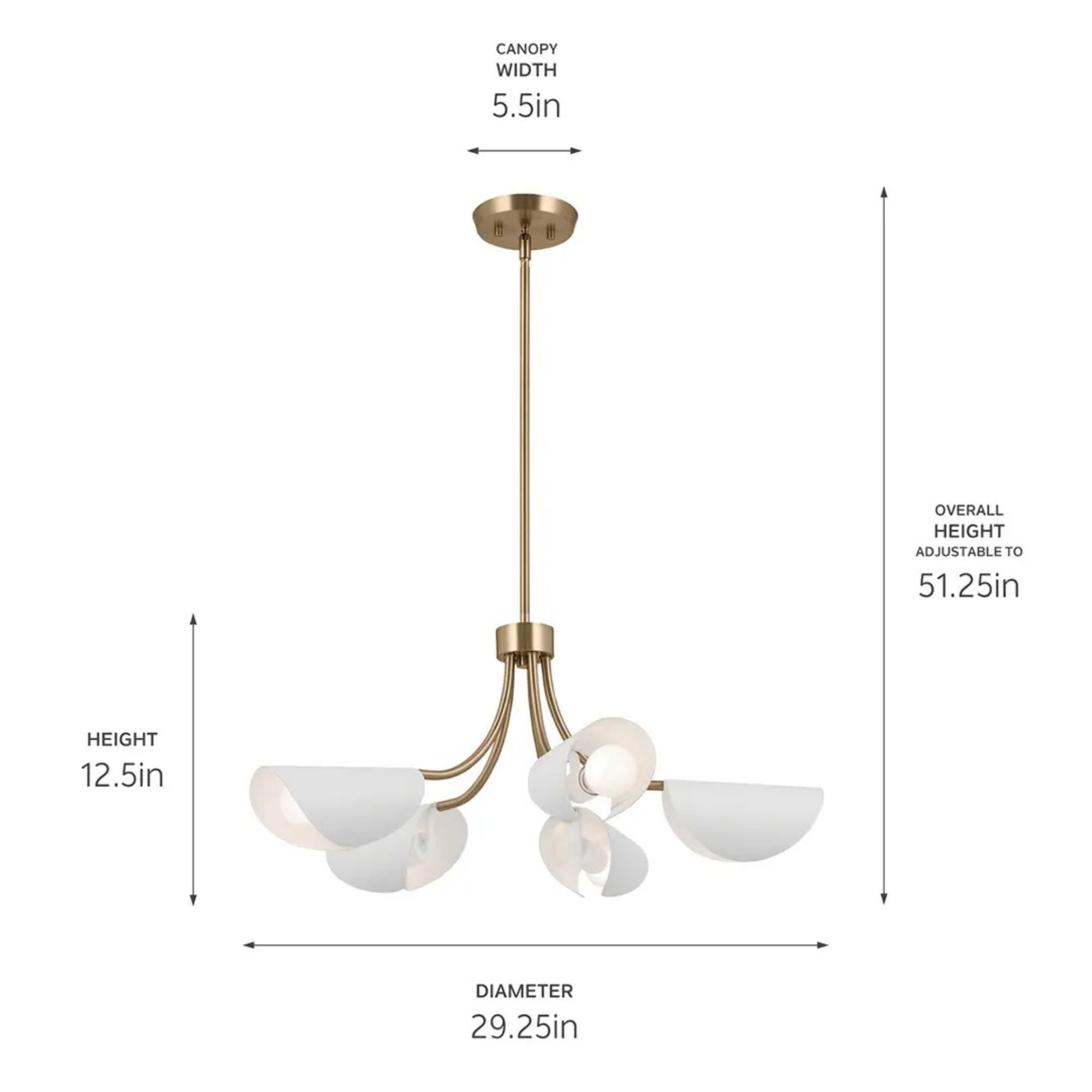 Arcus 29" 5-Light Chandelier, Champagne Bronze & White Finish