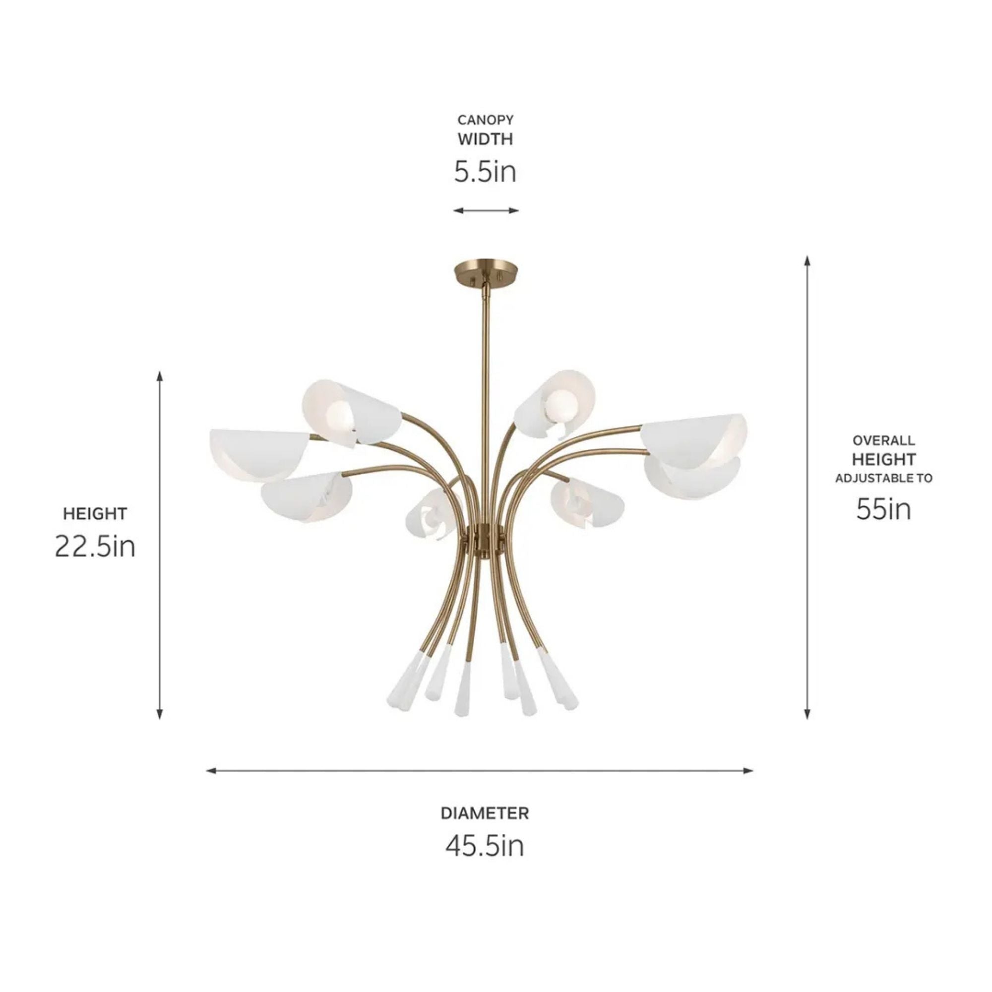 Arcus 46" 8-Light Chandelier, Champagne Bronze & White Finish