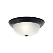 Basic 13" 2-Light Flush Mount, Black Finish