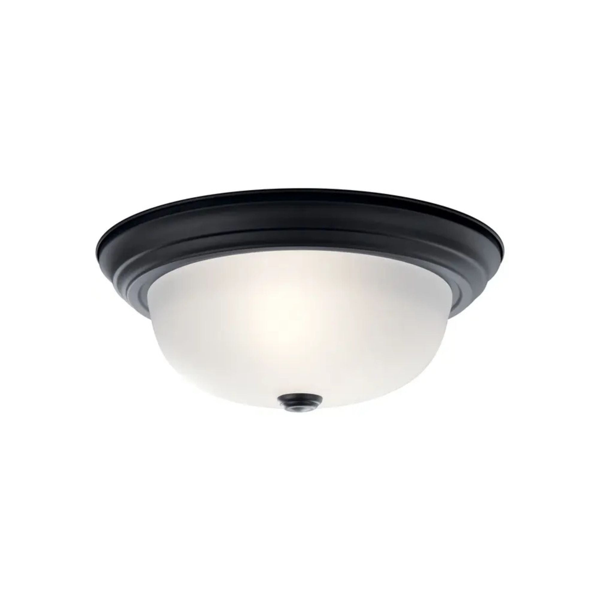 Basic 13" 2-Light Flush Mount, Black Finish