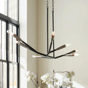 Black branch chandelier with seven glass-tipped candelabra bulbs, hanging by chains
