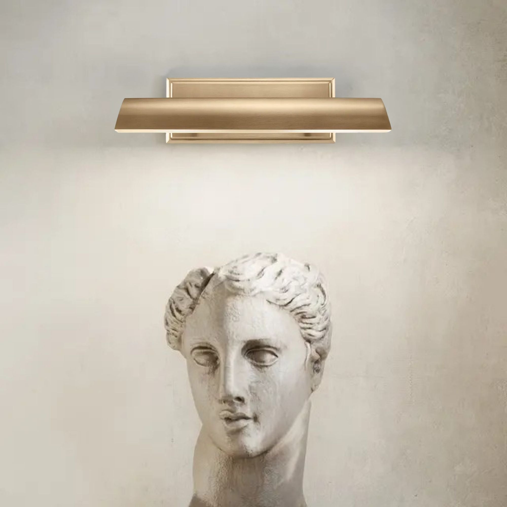 Carston 18" 2-Lights Picture Light, Bronze Finish