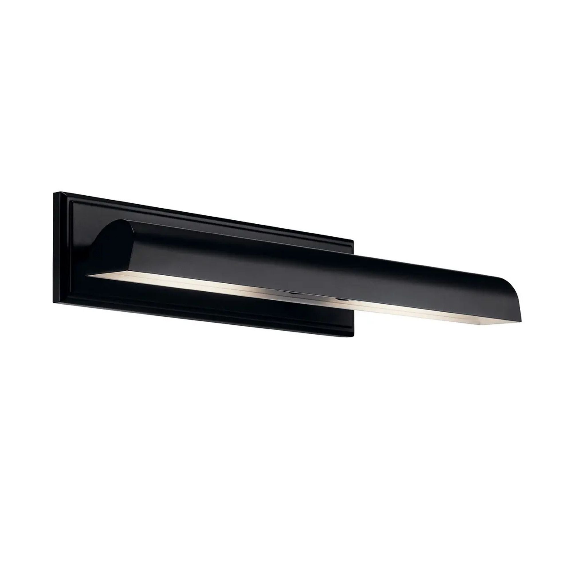 Carston 24" 2-Lights Picture Light, Black Finish