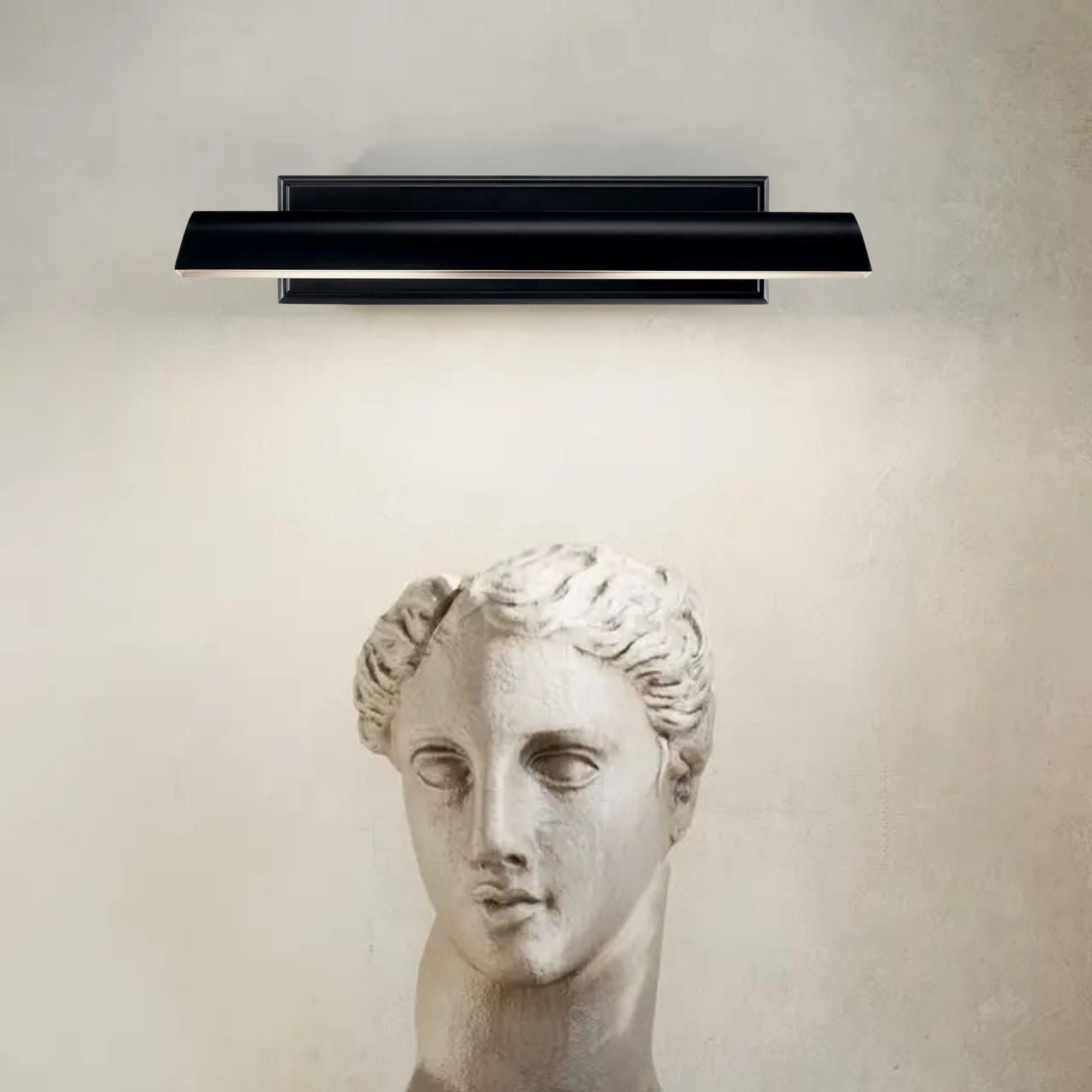 Carston 24" 2-Lights Picture Light, Black Finish