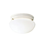 Ceiling Space 7" Flush Mount, White Finish