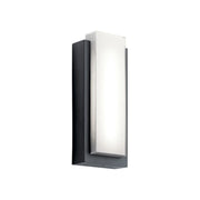 Dahlia 19" LED Outdoor Wall Light, Black Finish
