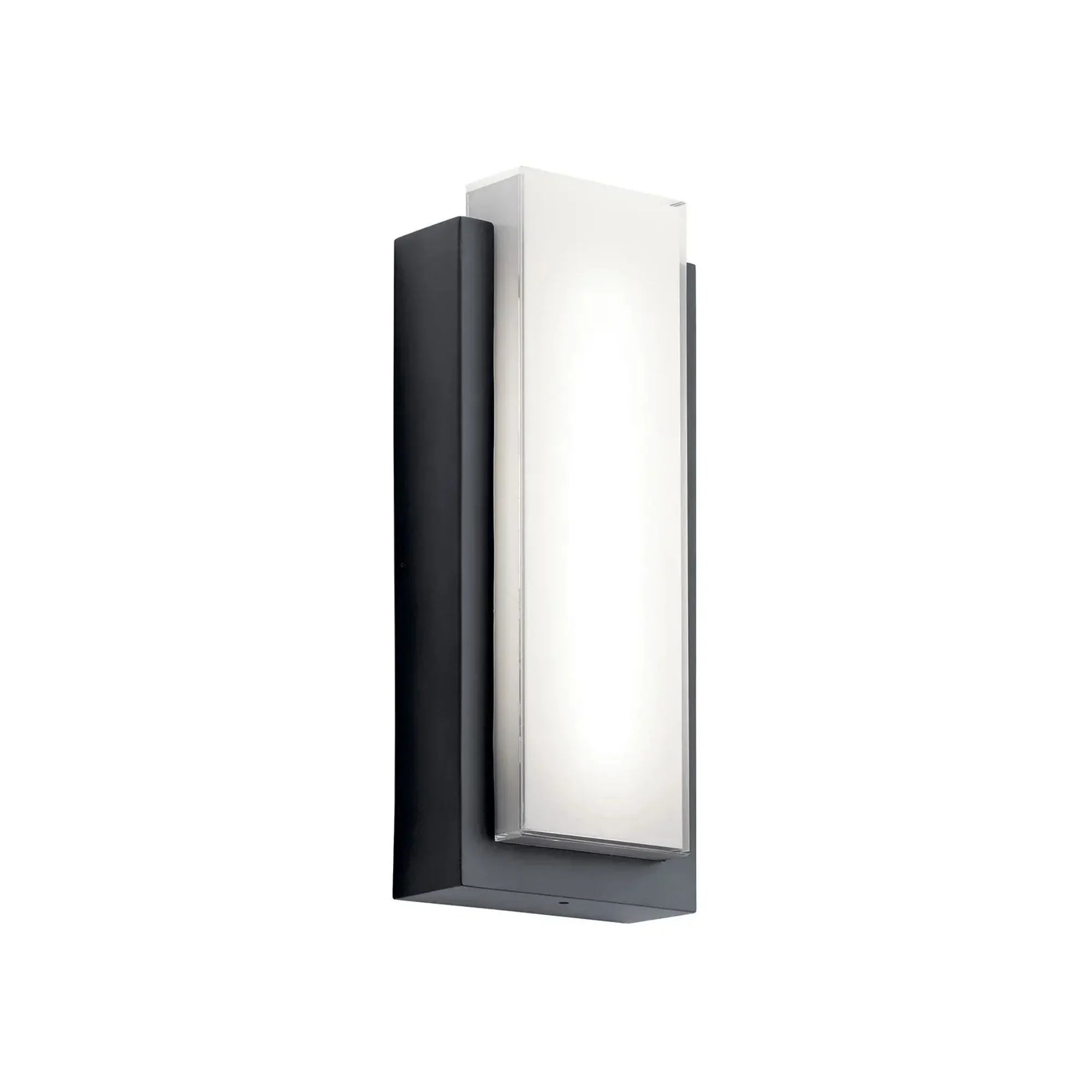 Dahlia 19" LED Outdoor Wall Light, Black Finish