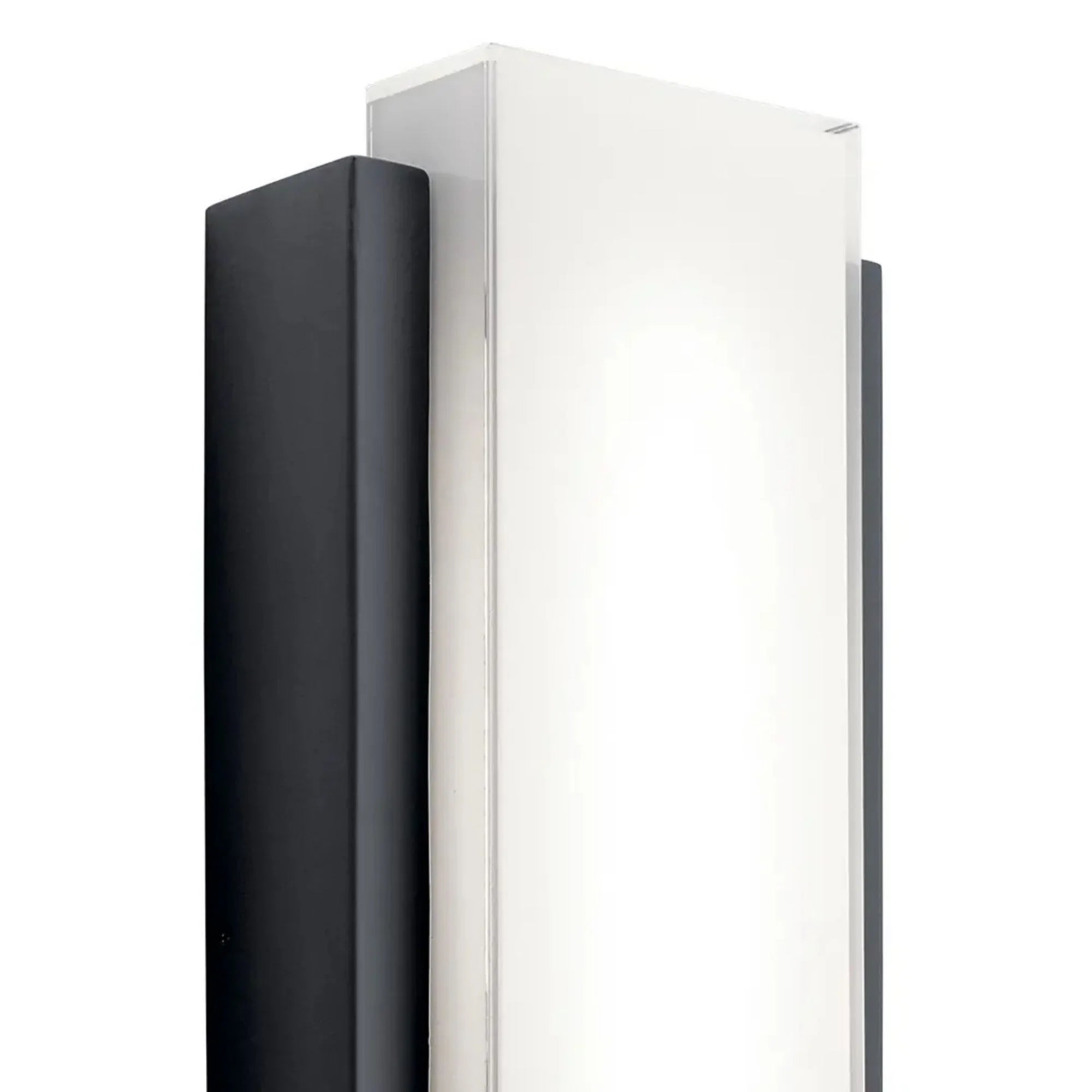 Dahlia 19" LED Outdoor Wall Light, Black Finish