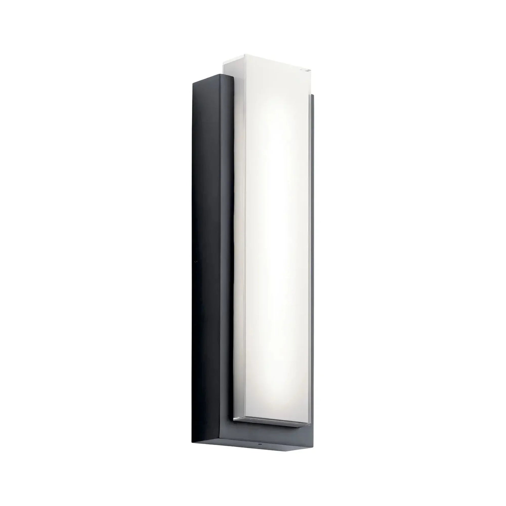 Dahlia 25" LED Outdoor Wall Light, Black Finish