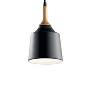 Kichler Danika 9.25 in. Mini Pendant, Black