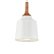 Kichler Danika 9.25 in. Mini Pendant, White
