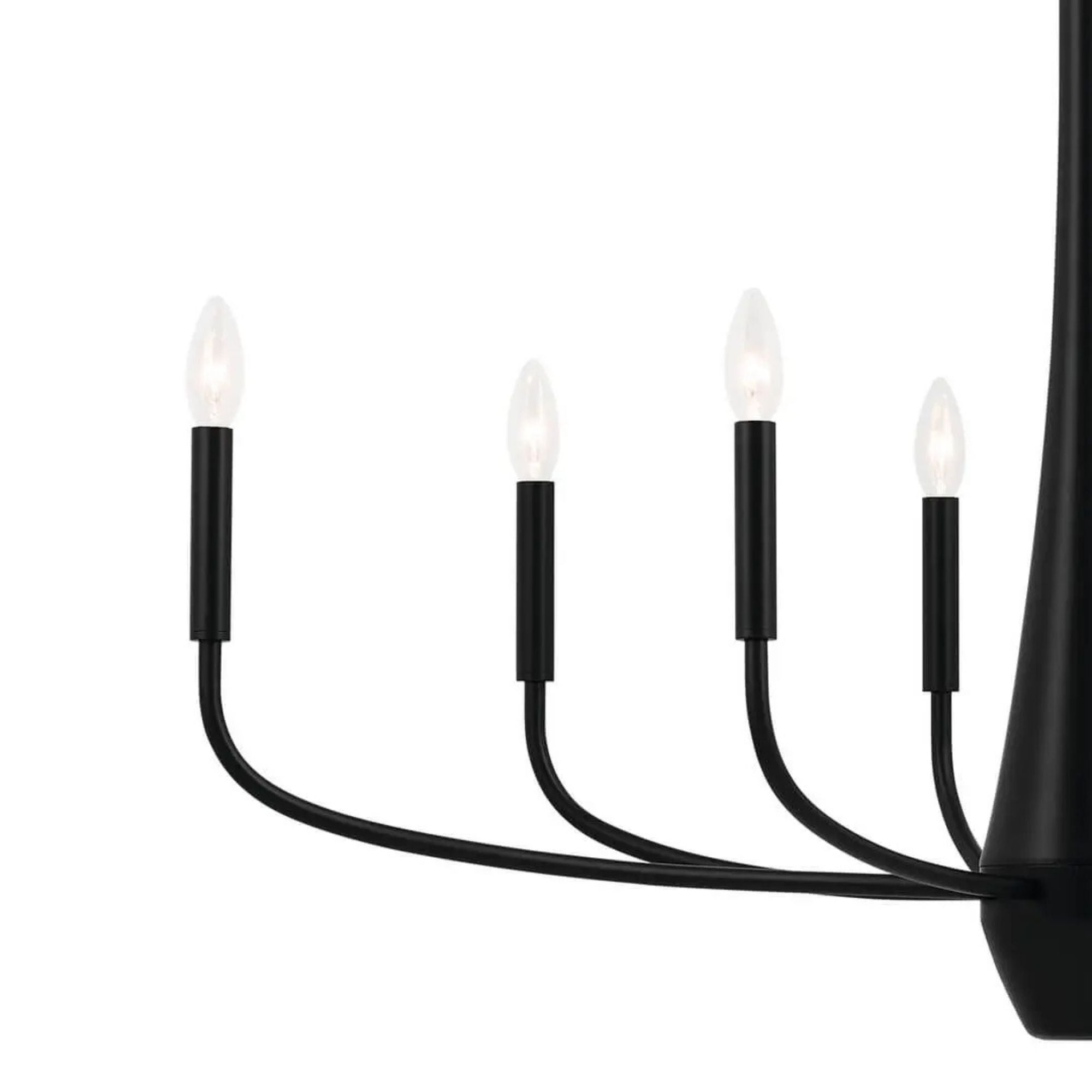 Deela 41" 8-Light Chandelier, Black Finish