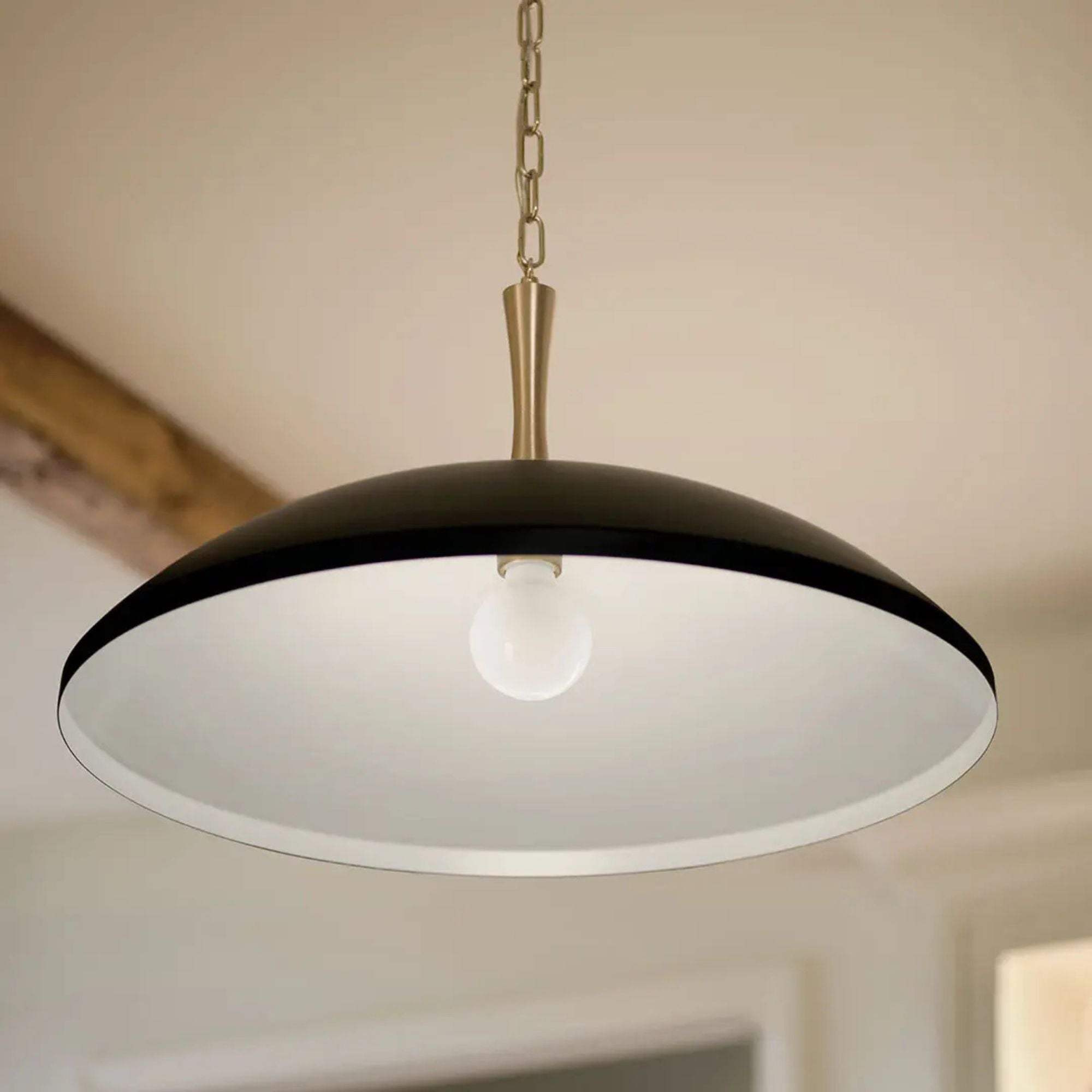 Delarosa 20" Pendant, Black Finish