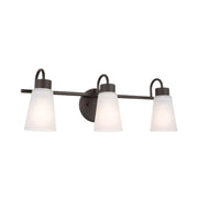 Erma 23" 3-Light Bath Vanity Light, Olde Bronze Finish