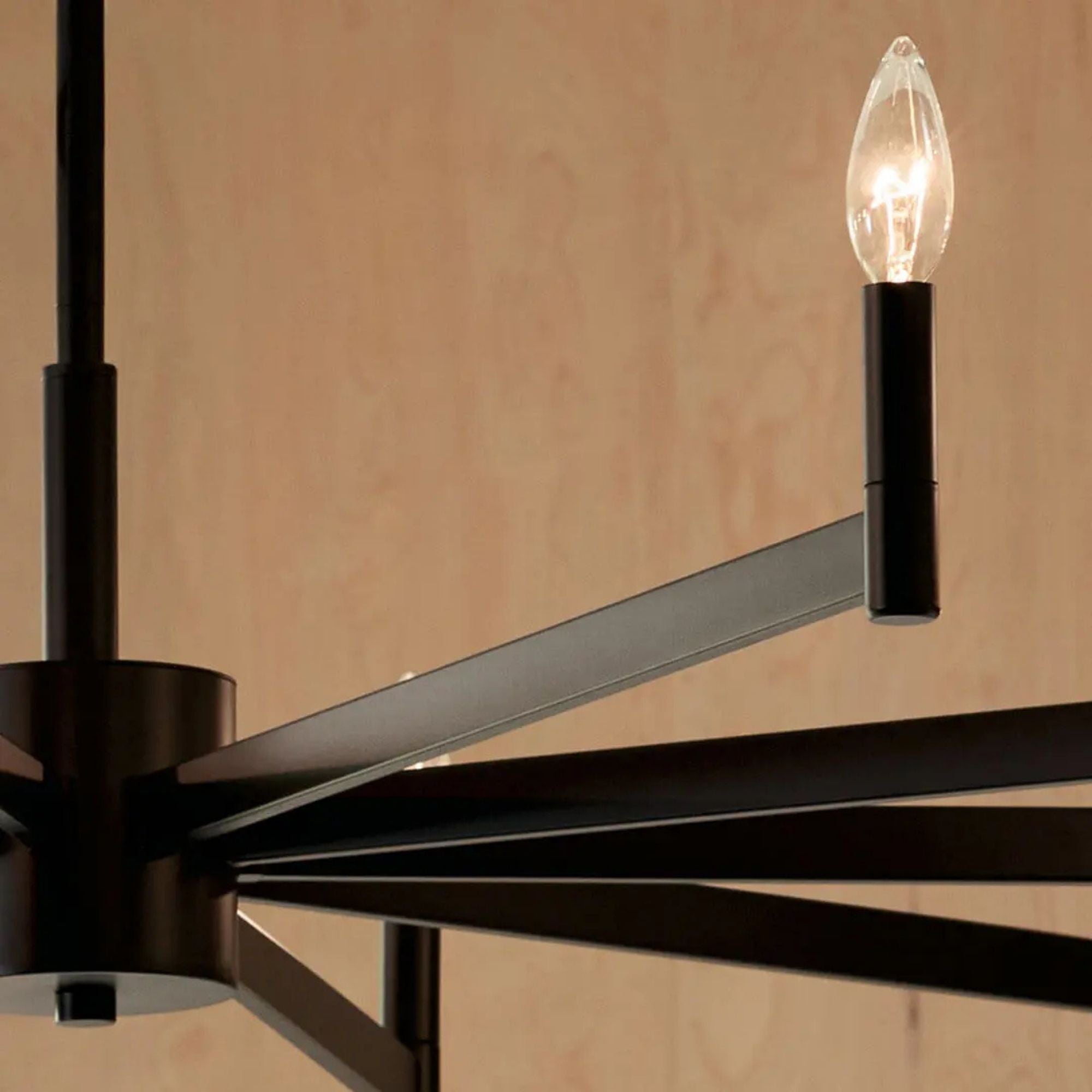 Erzo 48" 10-Light Chandelier, Black Finish