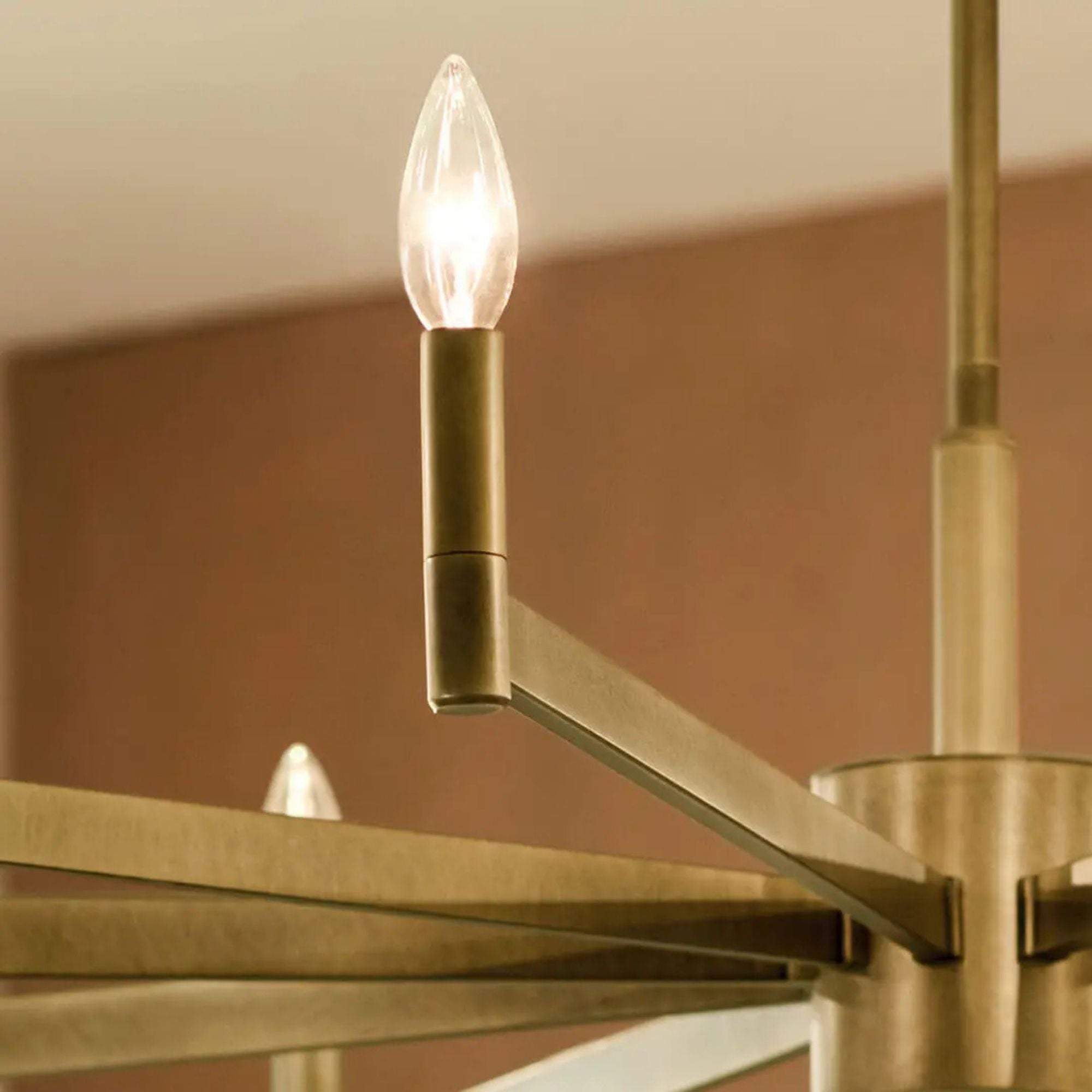 Erzo 48" 10-Light Chandelier, Natural Brass Finish