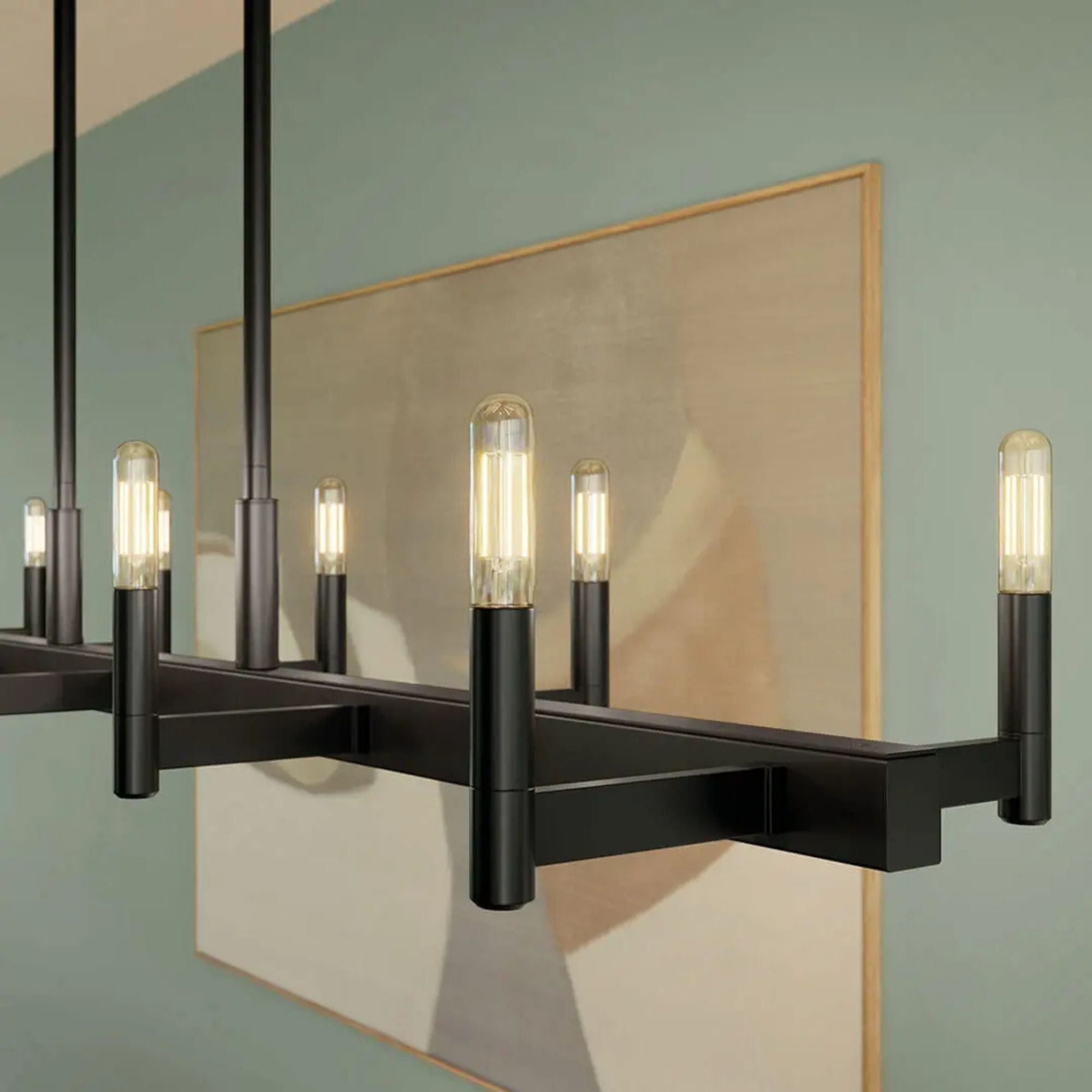 Erzo 50" 10-Light Linear Chandelier, Black Finish